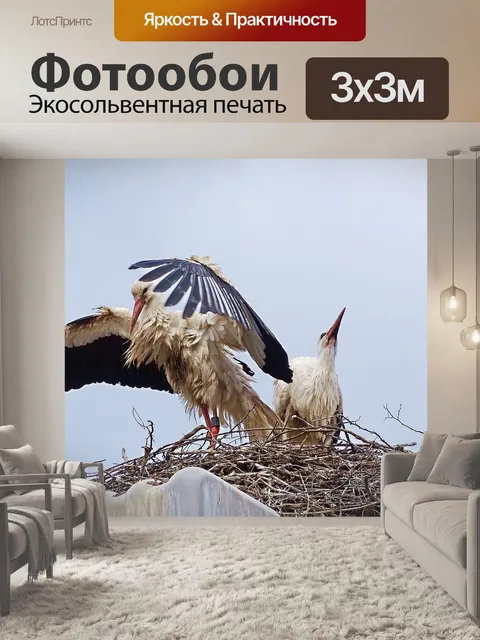Фотообои Аист