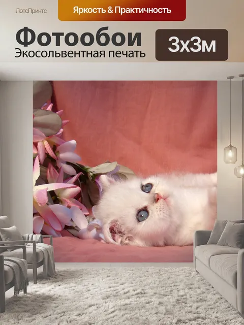 Фотообои Котенок