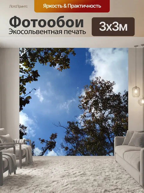 Фотообои Деревья