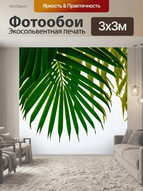 Фотообои пальмовые листья в стиле минимализм