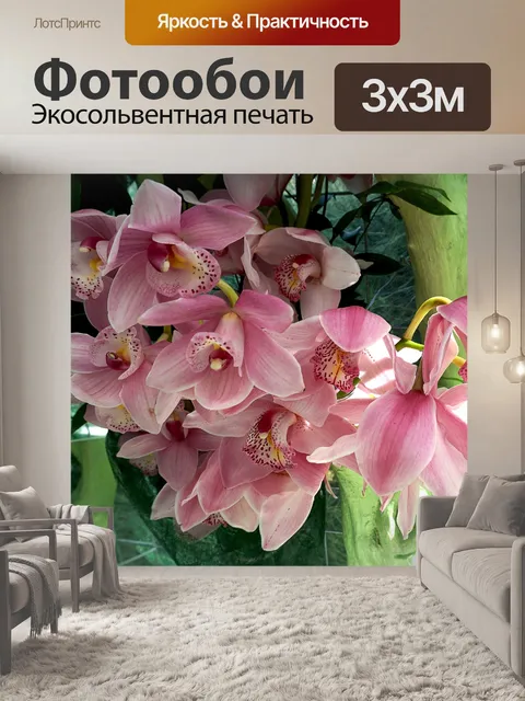 Фотообои розовые орхидеи