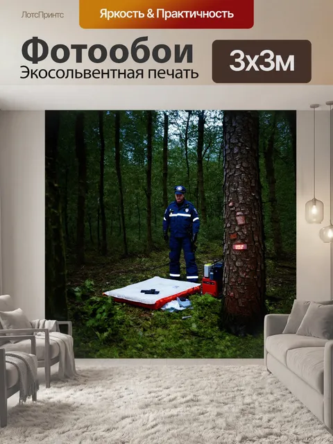 Фотообои фельдшер, стоящий в зеленом лесу, создает импровизированный временный медицинский пункт, используя предметы…