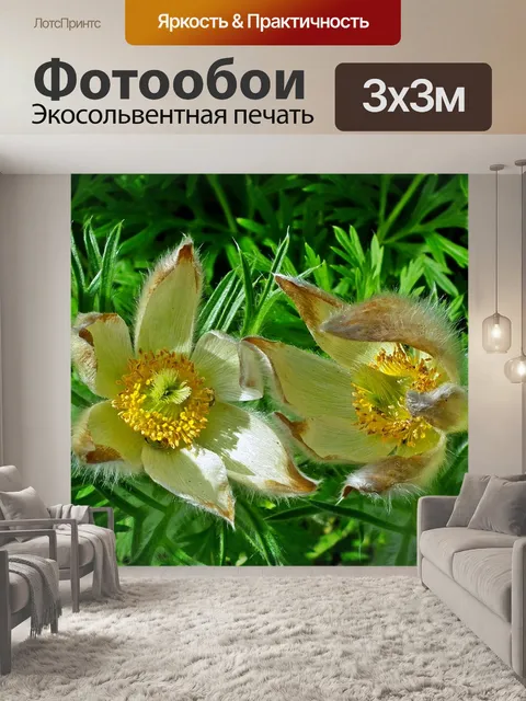 Фотообои Цветы