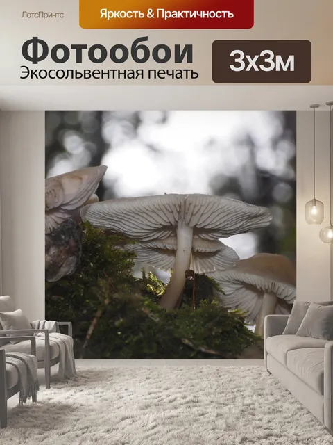 Фотообои Осень