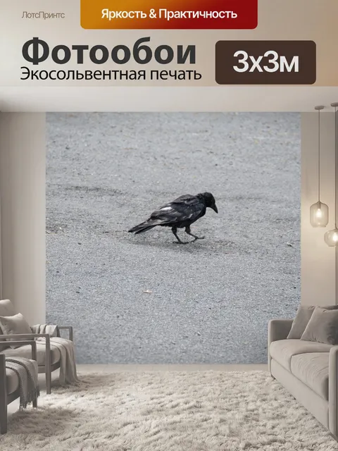 Фотообои Ворон на дороге