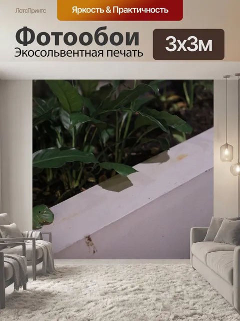Фотообои Бетонный горшок