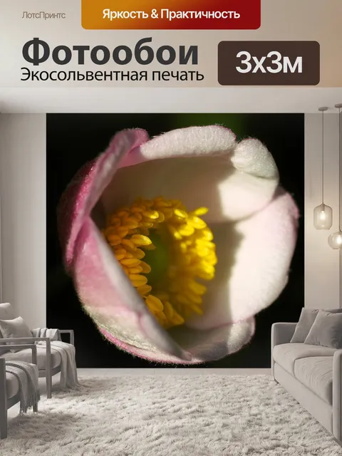 Фотообои Цвести