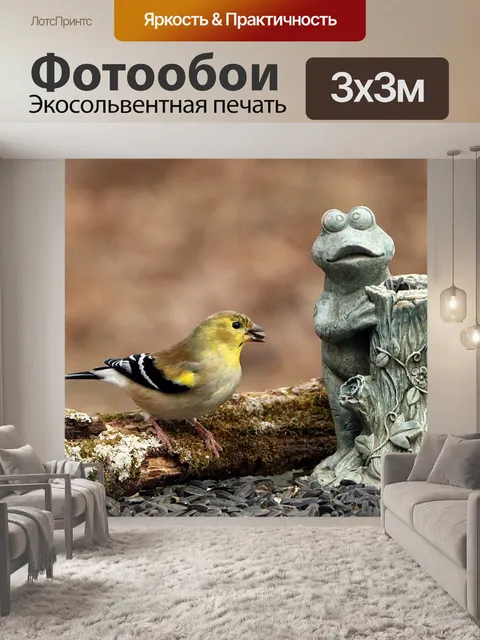 Фотообои Щебень и лягушка