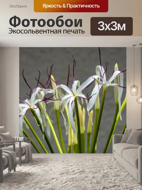 Фотообои Суматра Лили