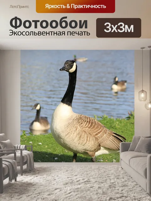 Фотообои Гусь