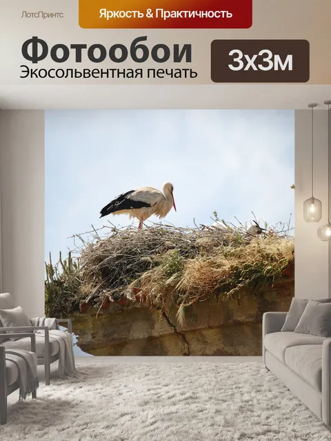 Фотообои Птицы