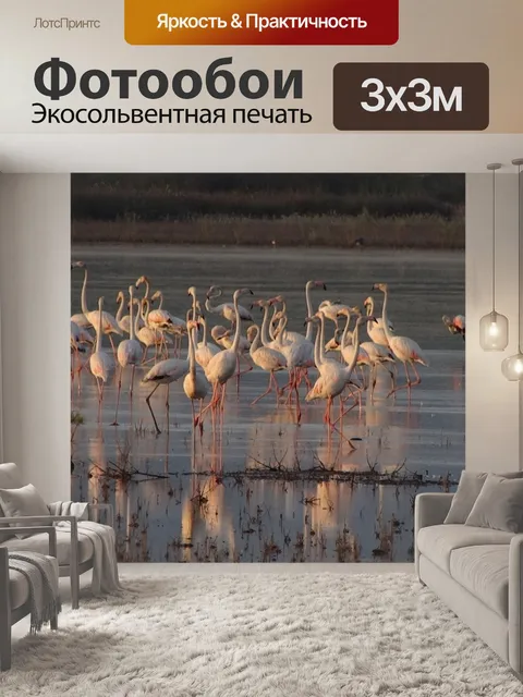 Фотообои Фламинго
