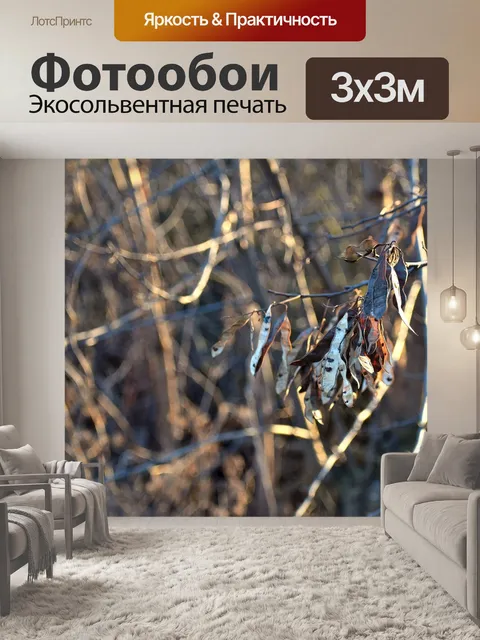 Фотообои Ветви