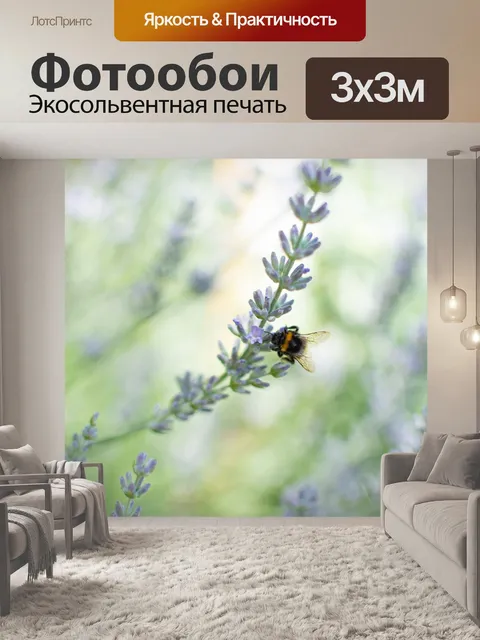 Фотообои Лаванда