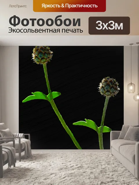 Фотообои Цветы