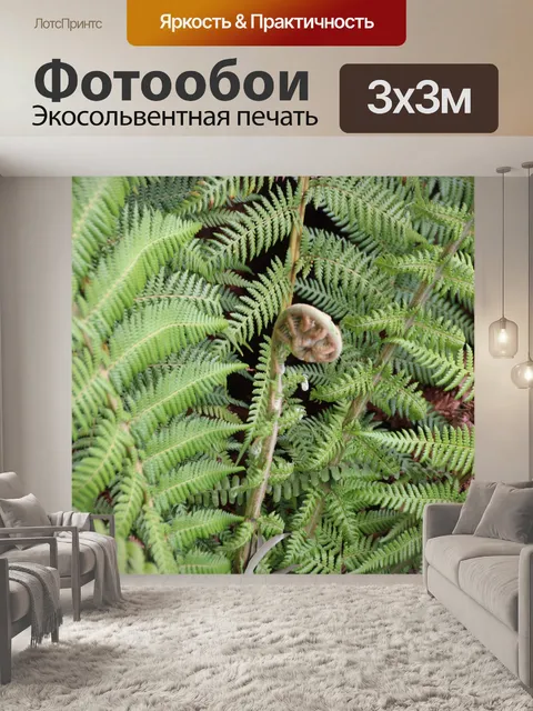 Фотообои Одноместный папоротник ветвь