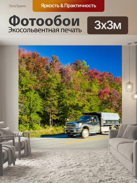 Фотообои Дорожные и осенние деревья