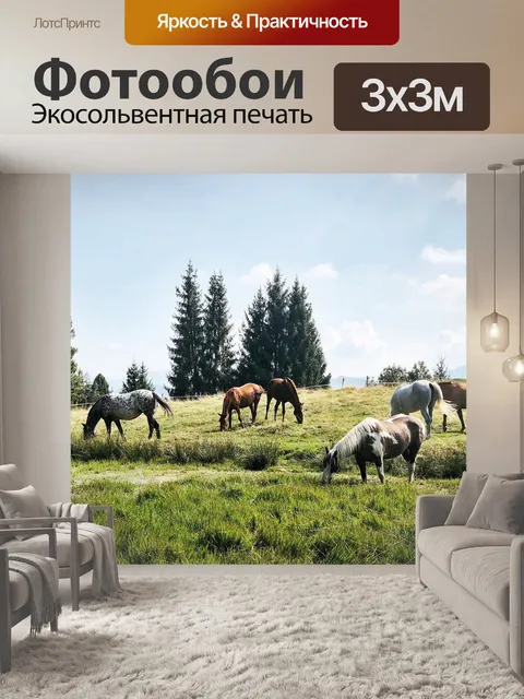 Фотообои Лошади