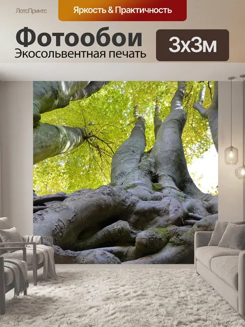 Фотообои Деревья