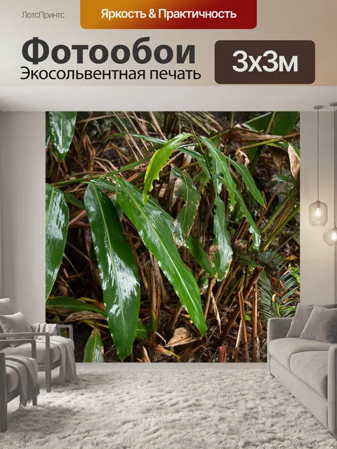 Фотообои Листья