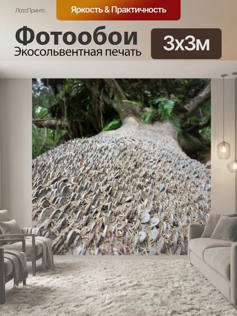 Фотообои Монеты