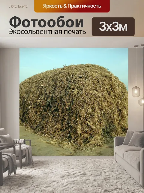 Фотообои Грамм лошади