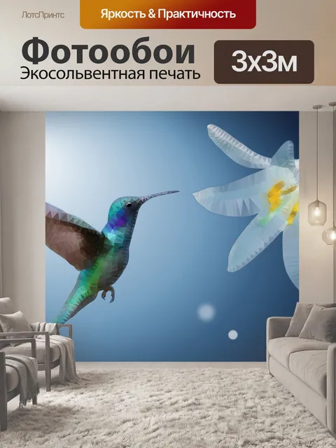 Фотообои Колибри