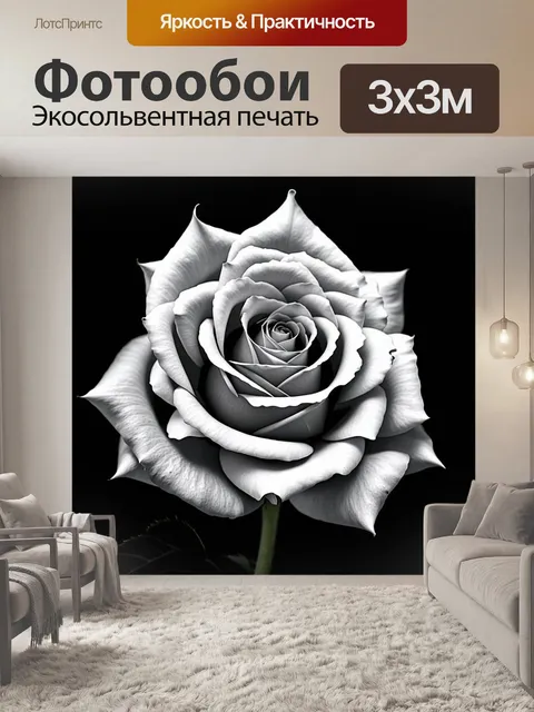 Фотообои розы в стиле черно-белый