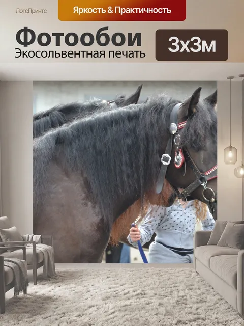 Фотообои Лошади