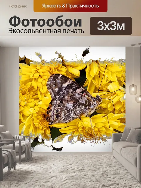 Фотообои бабочка