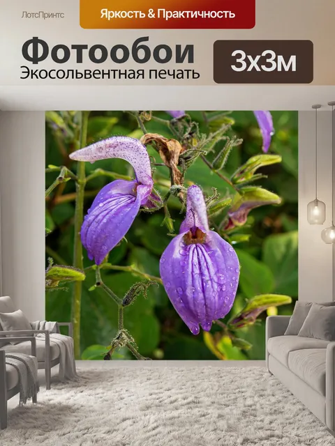 Фотообои Природа