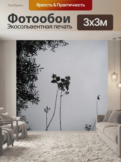 Фотообои чубушник цветы силуэта