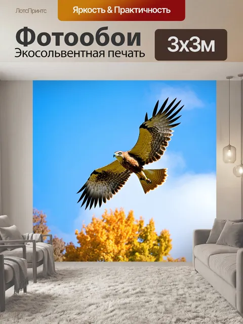 Фотообои Незабываемый миг, когда ястреб majestically парит в небе