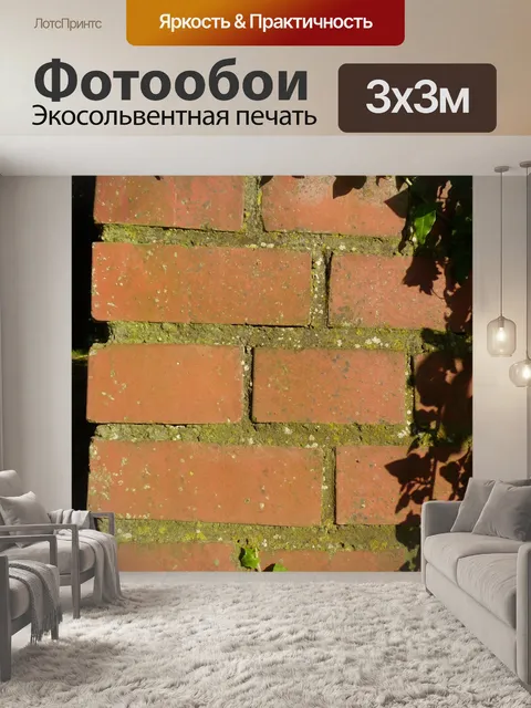 Фотообои Стена