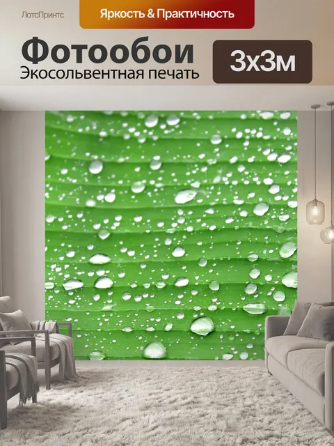 Фотообои Зеленый лист банан