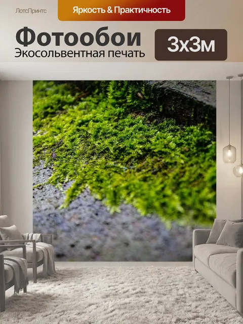 Фотообои Мах