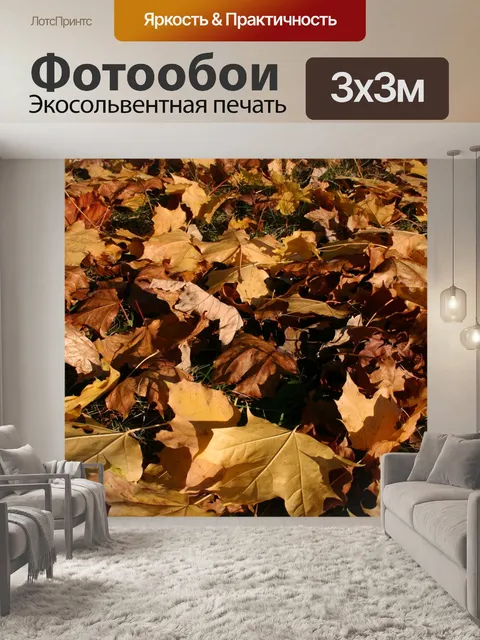 Фотообои Парк