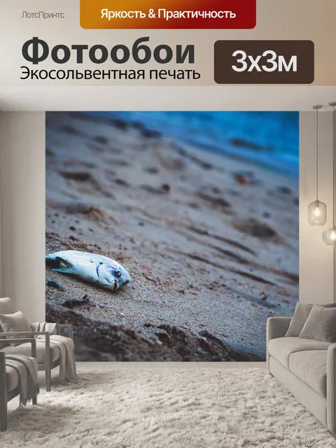 Фотообои Рыбы