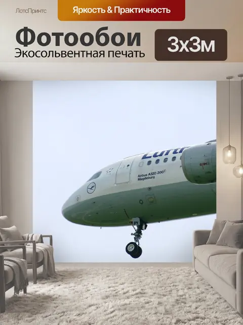 Фотообои Авиатор
