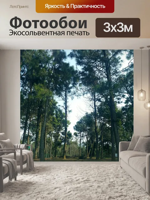Фотообои Дерево