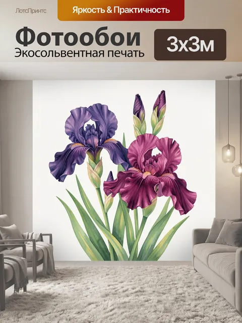 Фотообои Фиолетовые и бордовые ирисы
