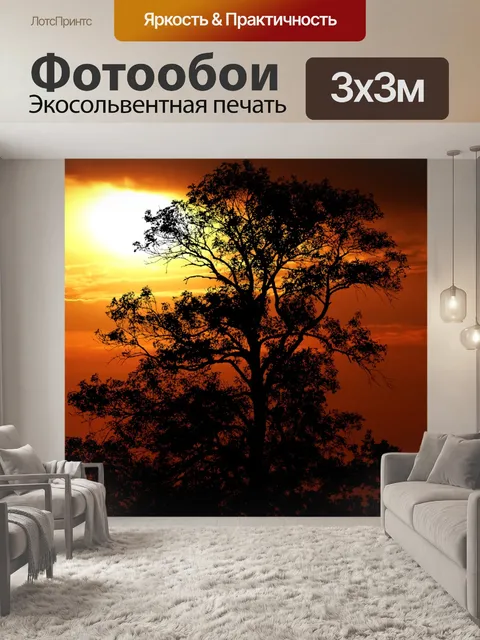 Фотообои Заход солнца