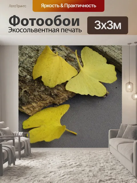 Фотообои Гинко