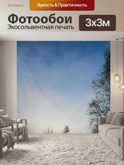 Фотообои Перелетные птицы