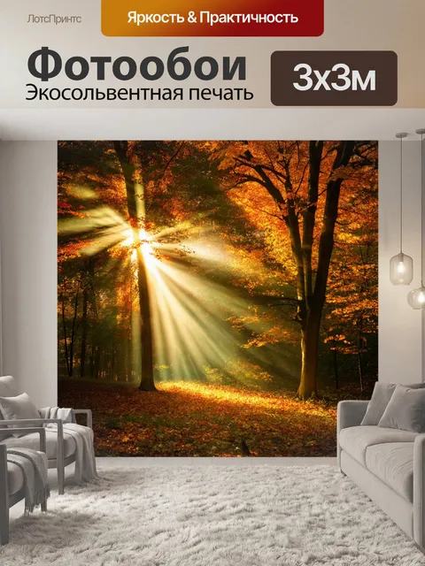 Фотообои освещение осеннего леса