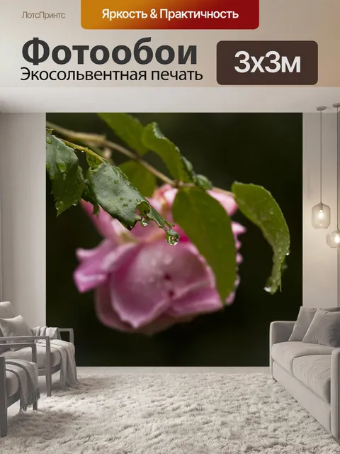 Фотообои Роза
