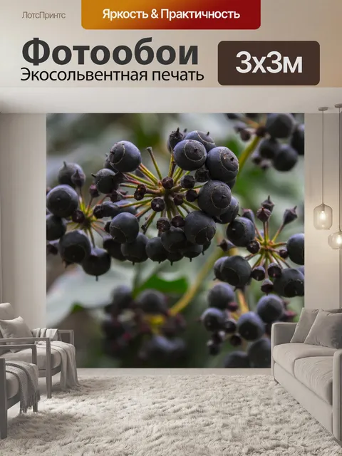 Фотообои Природа
