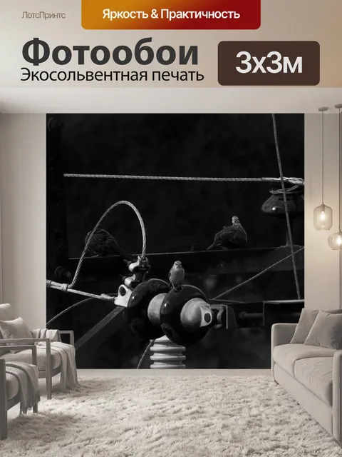 Фотообои Птицы