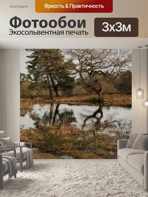 Фотообои Деревья