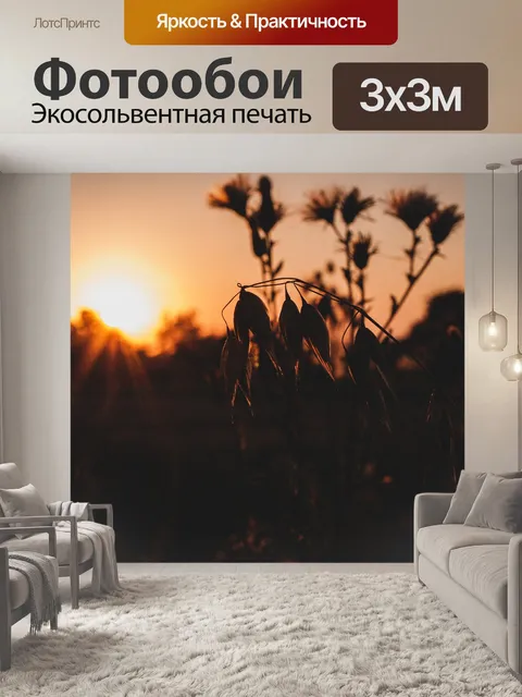 Фотообои Овес